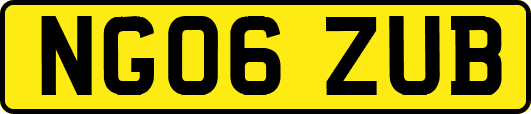 NG06ZUB