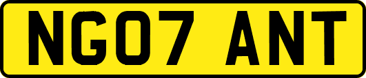 NG07ANT