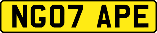 NG07APE