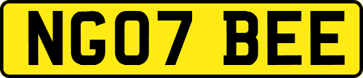 NG07BEE