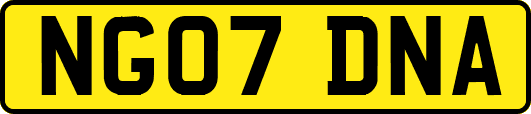 NG07DNA