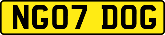 NG07DOG