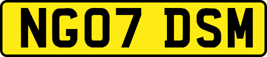 NG07DSM