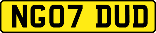 NG07DUD