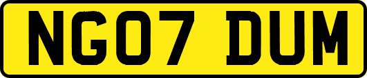 NG07DUM