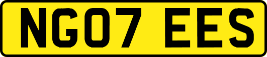 NG07EES