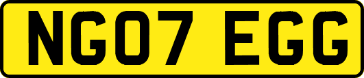 NG07EGG