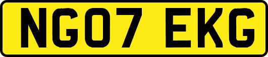NG07EKG