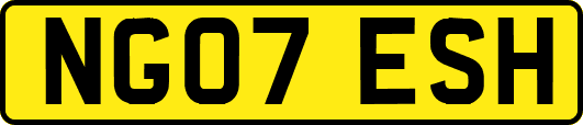 NG07ESH