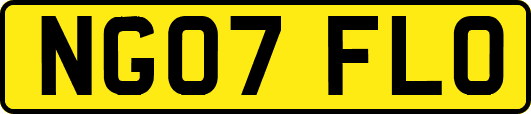 NG07FLO