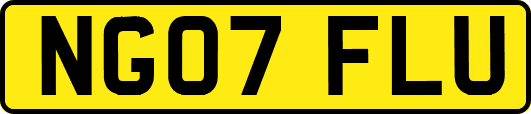 NG07FLU