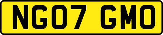 NG07GMO