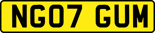 NG07GUM