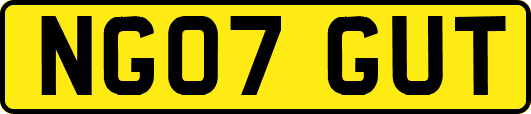 NG07GUT