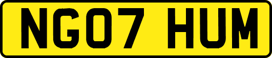 NG07HUM