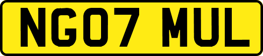NG07MUL