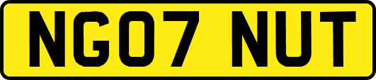 NG07NUT