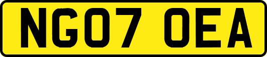 NG07OEA