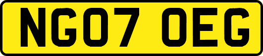 NG07OEG