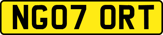 NG07ORT