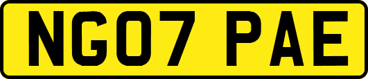 NG07PAE