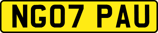 NG07PAU