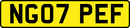NG07PEF