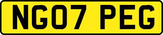 NG07PEG
