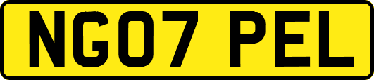 NG07PEL