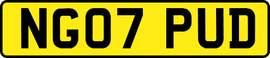 NG07PUD