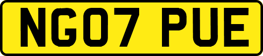 NG07PUE