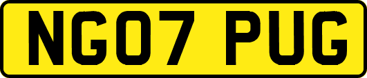 NG07PUG