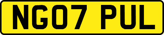 NG07PUL