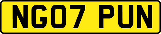 NG07PUN