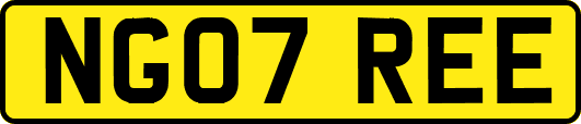 NG07REE