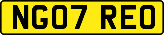NG07REO