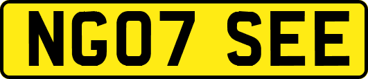 NG07SEE