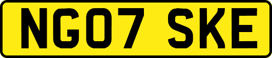 NG07SKE
