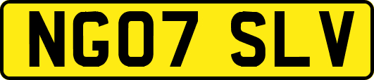 NG07SLV