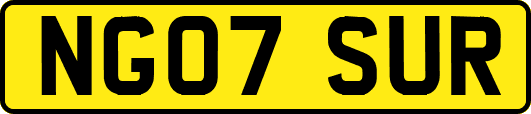 NG07SUR