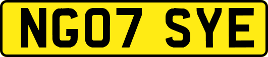 NG07SYE