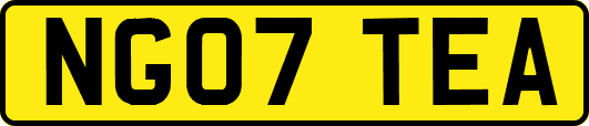 NG07TEA