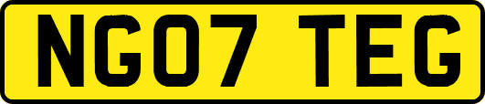 NG07TEG