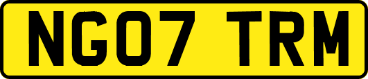 NG07TRM