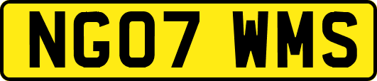 NG07WMS