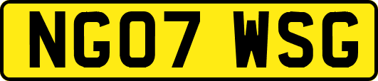 NG07WSG