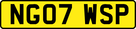NG07WSP