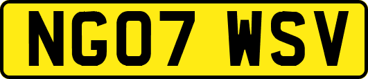 NG07WSV