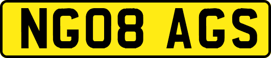 NG08AGS