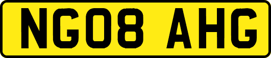 NG08AHG